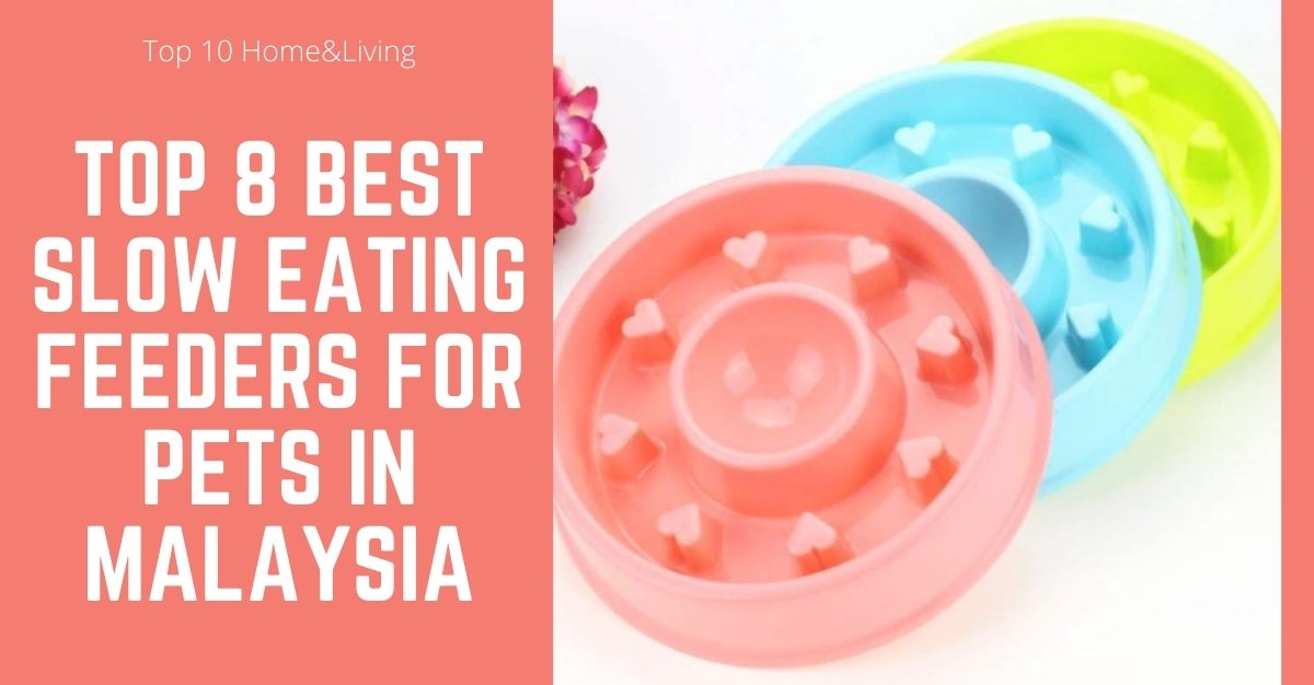 Top Best Slow Eating Feeders for Pets in Malaysia