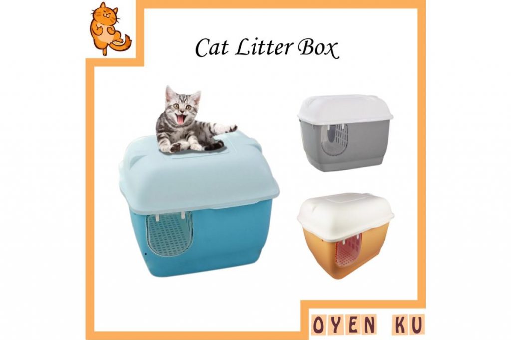 9 Cara Terbaik Untuk Memastikan Kucing Anda Gembira di Malaysia 2025 10 Upgrade The Litter Box