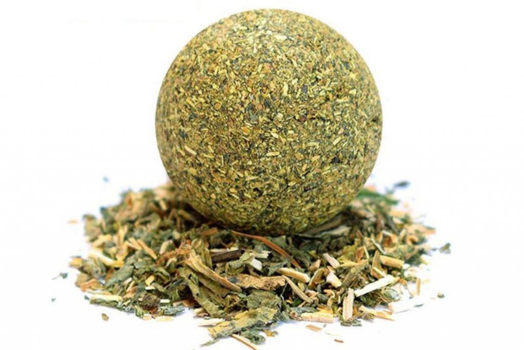 9 Cara Terbaik Untuk Memastikan Kucing Anda Gembira di Malaysia 2025 5 Use Catnip