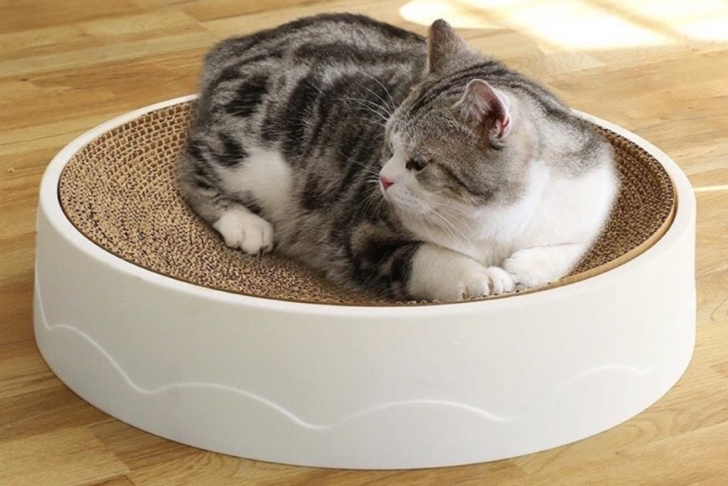 8 Pencakar Kucing Terbaik di Malaysia 2025 4 XL Size Cat Scratcher