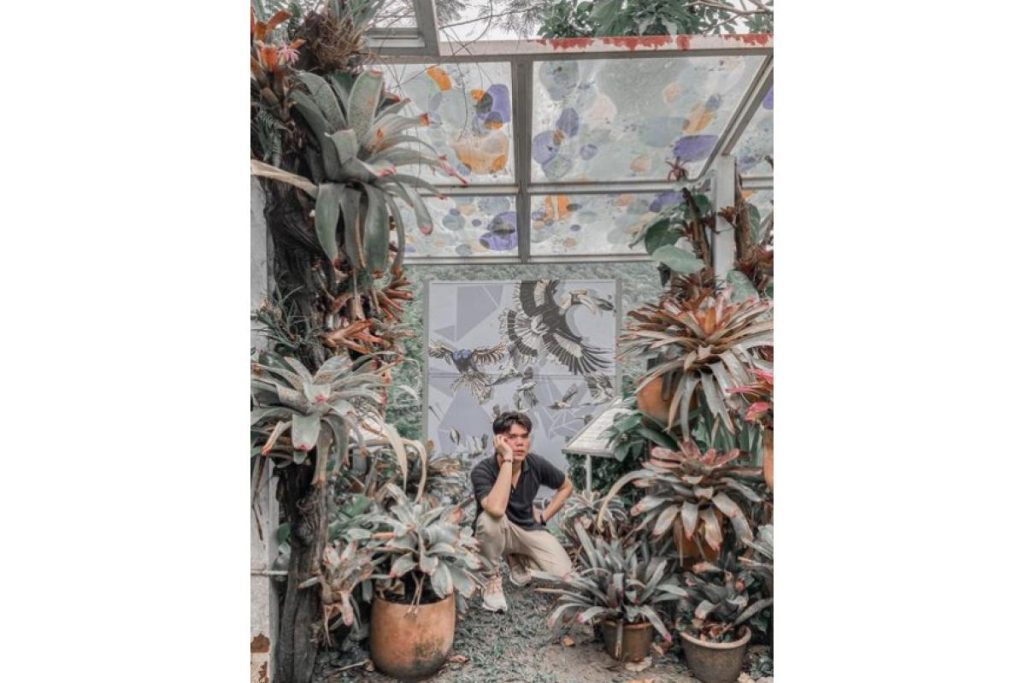 Top 8 Best Instagrammable Parks and Gardens in Penang 2025 12 Art and Garden