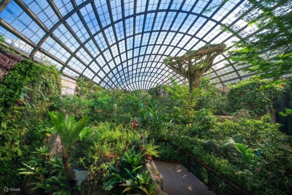 Top 8 Best Family Activities in Penang 2025 2 Be Surrounded By The Beauty of Entopia Penang Butterfly Farm