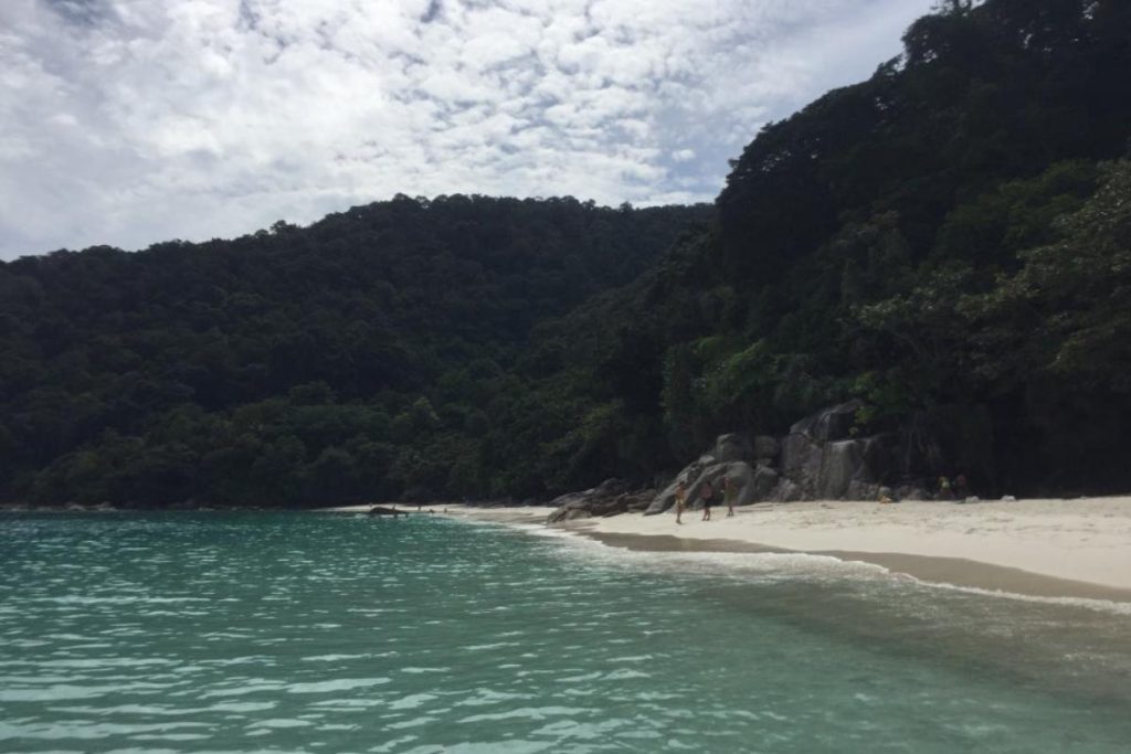 8 Tempat Menarik di Pulau Perhentian 2025 8 Catch A Glimpse Of Sea Turtles At Turtle Beach