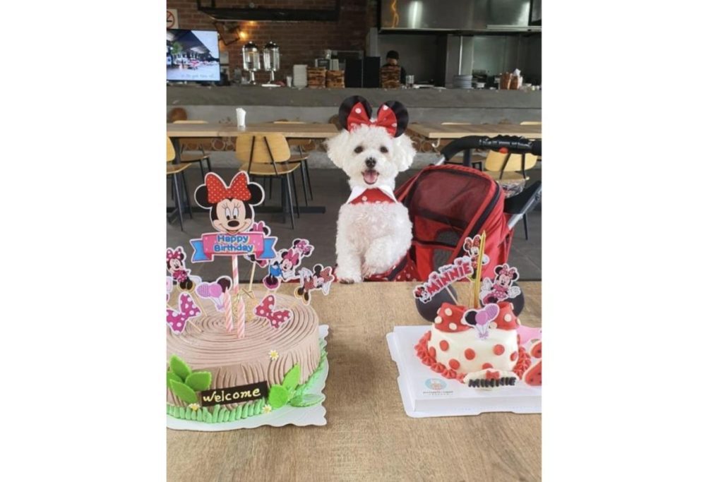 15 Tempat Menarik bagi Sambutan Birthday di Selangor 2025 10 Curious Kitchen