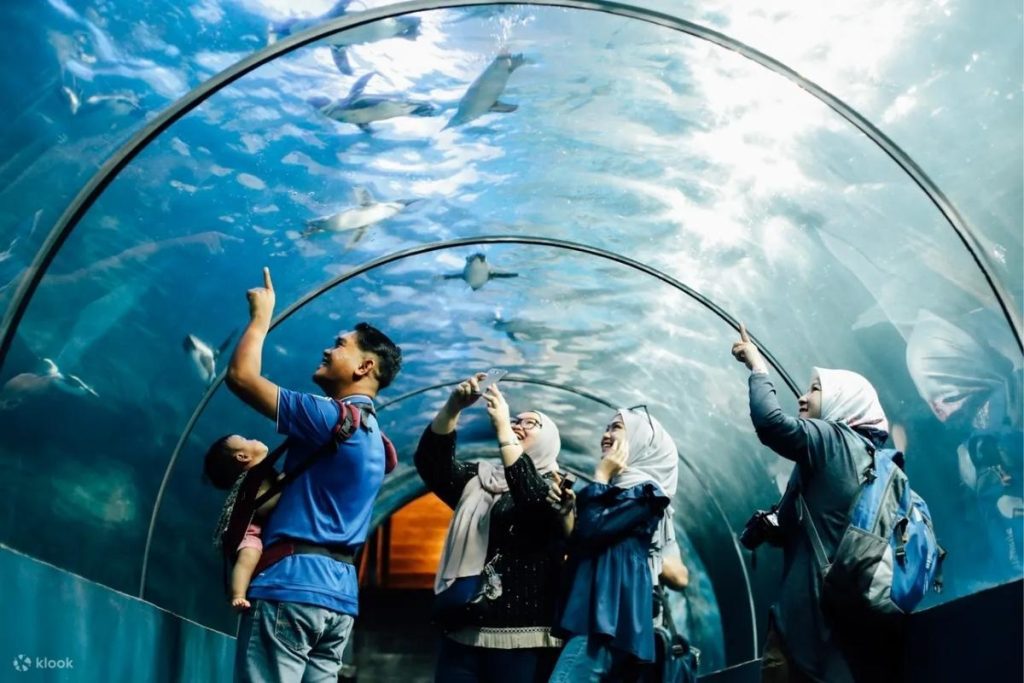 Top 8 Best Things to do in Langkawi 2025 9 Discover The Underwater World Langkawi