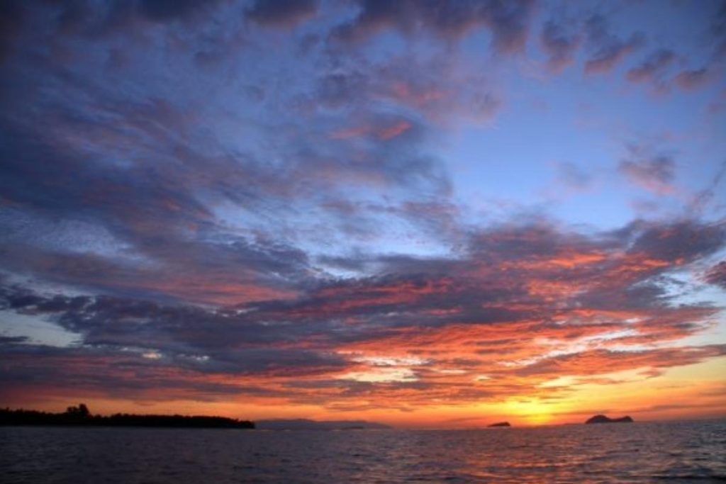 Top 8 Best Family Activities in Kuching 2025 10 Go on A River Cruise At The Kuching Wetlands National Park