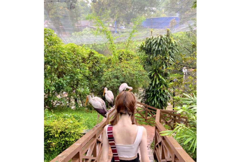 8 Taman Terbaik untuk Bergambar di Lembah Klang 2025 10 KL Bird Park