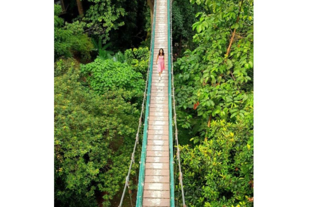 8 Taman Terbaik untuk Bergambar di Lembah Klang 2025 3 KL Forest Eco Park