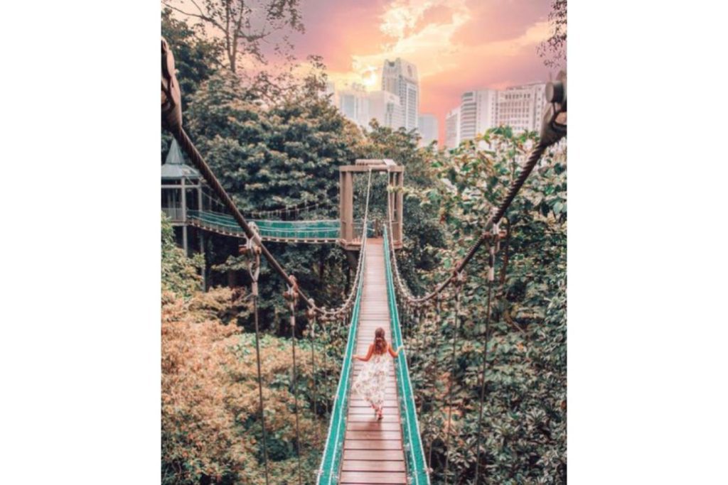 8 Taman Terbaik untuk Bergambar di Lembah Klang 2025 2 KL Forest Eco Park