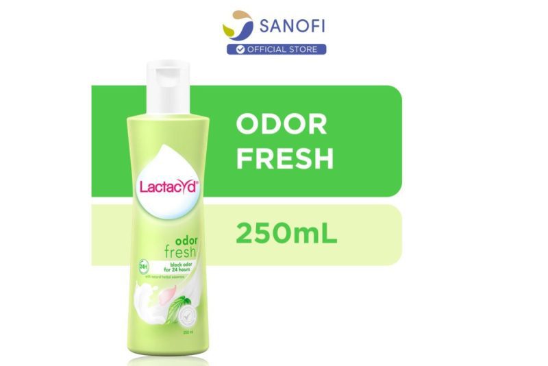 Top 8 Best Feminine Washes in Malaysia 2024 Hygiene