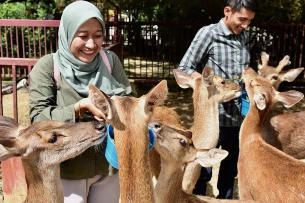 Top 8 Best Zoos and Wildlife Parks in Malaysia 2025 11 Langkawi Wildlife Park