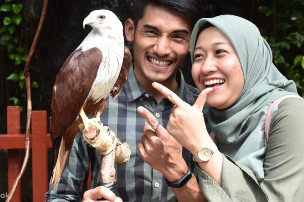 Top 8 Best Zoos and Wildlife Parks in Malaysia 2025 10 Langkawi Wildlife Park