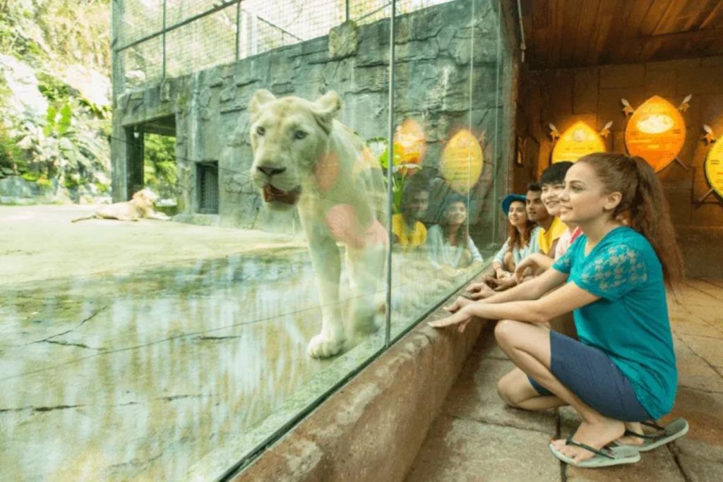 Top 8 Best Zoos and Wildlife Parks in Malaysia 2025 5 Sunway Wildlife Park