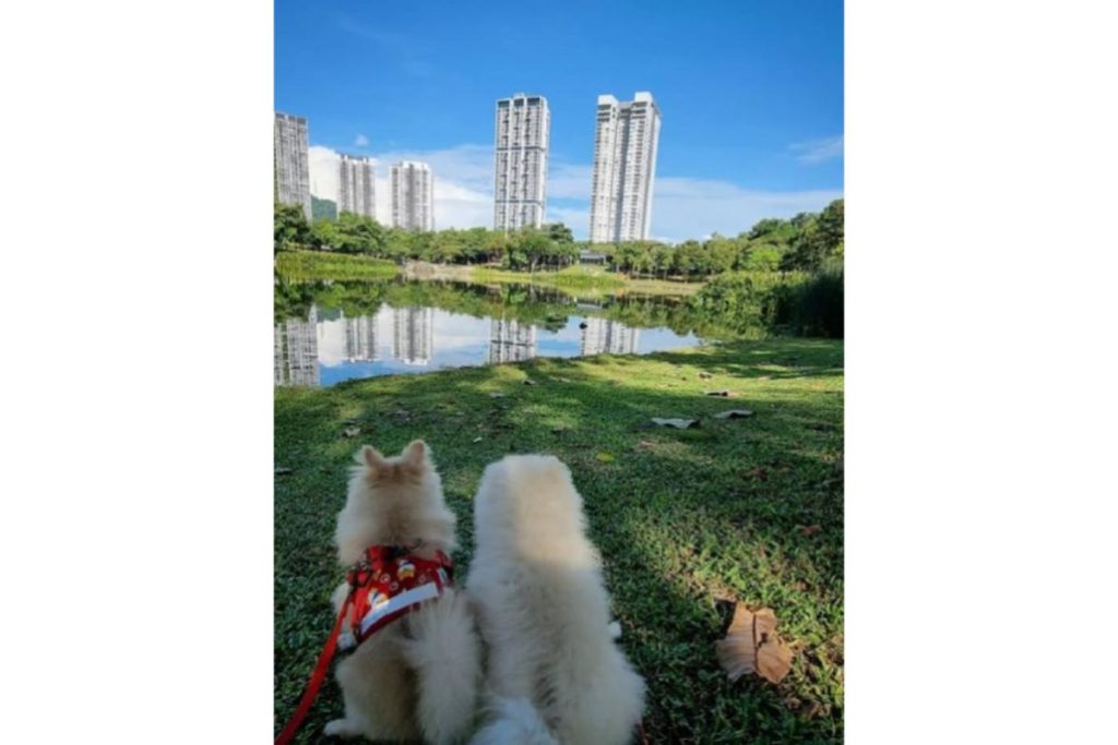 8 Taman Terbaik untuk Bergambar di Lembah Klang 2025 13 The Central Park