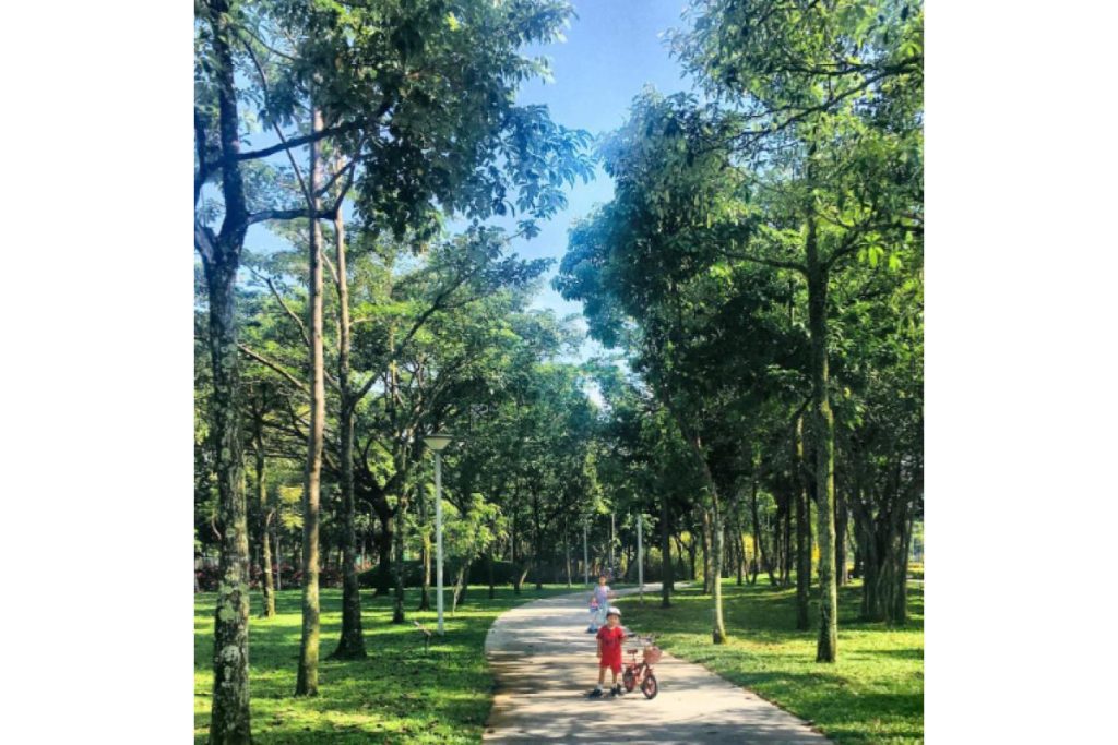 8 Taman Terbaik untuk Bergambar di Lembah Klang 2025 12 The Central Park