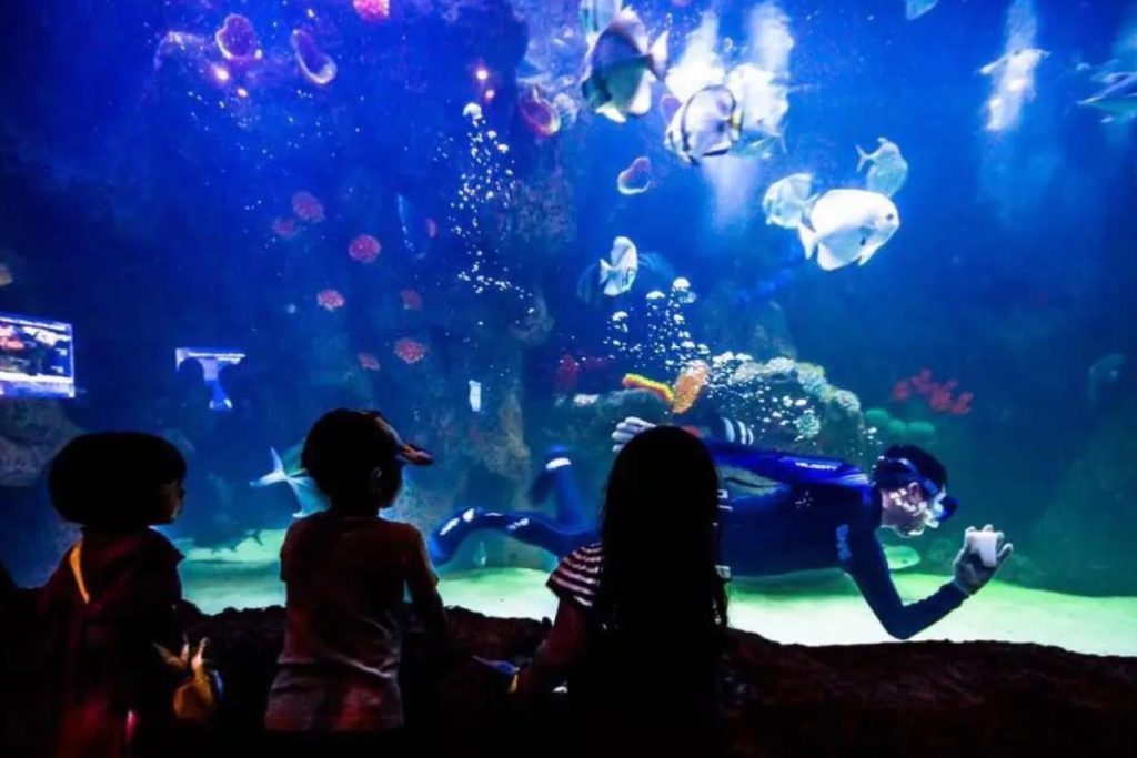 Top 8 Best Family Activities in Melaka 2025 9 The Shore Oceanarium