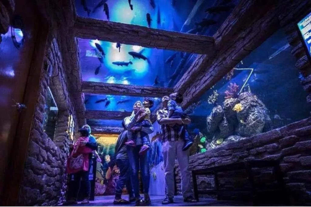 Top 8 Best Family Activities in Melaka 2025 8 The Shore Oceanarium