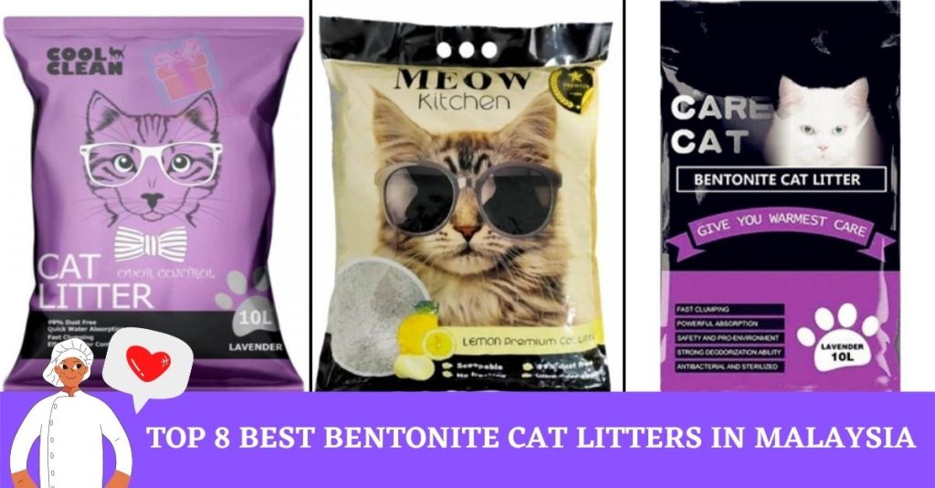 Top 8 Best Bentonite Cat Litters in Malaysia 2024