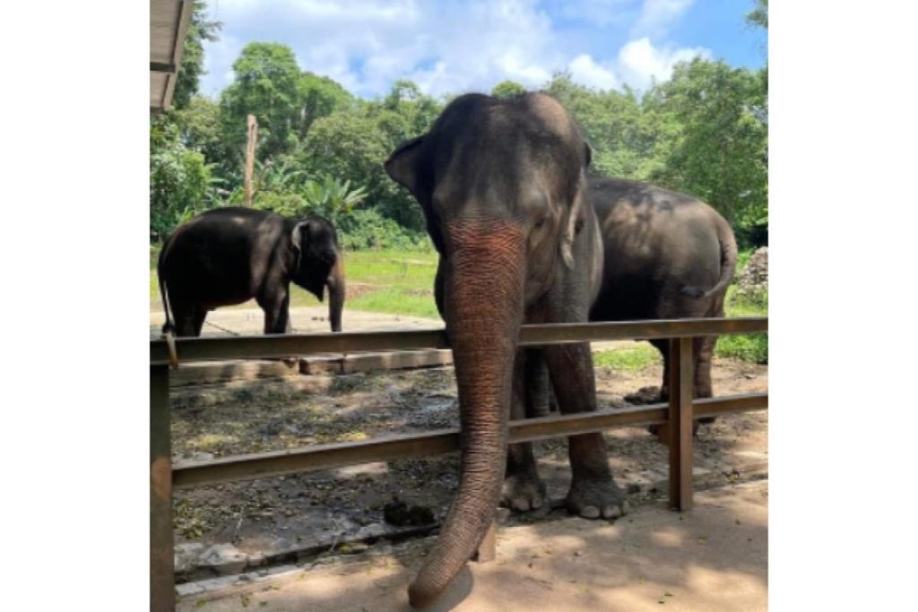 Top 8 Best Zoos and Wildlife Parks in Malaysia 2025 6 Zoo Melaka