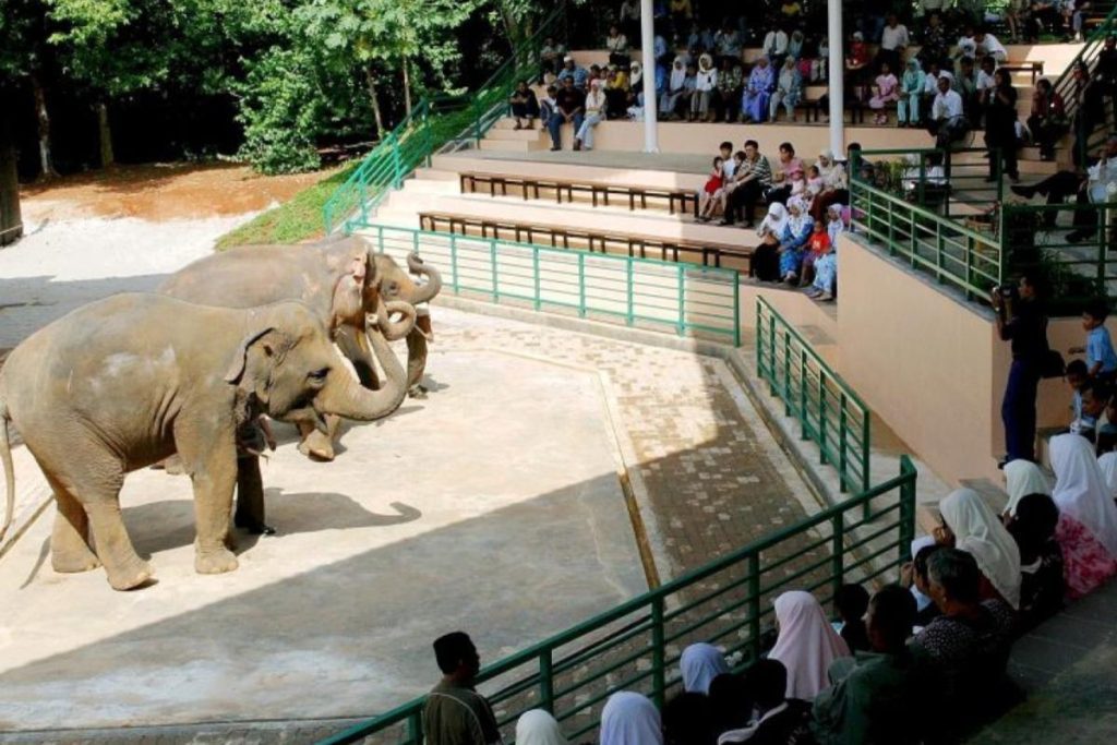Top 8 Best Family Activities in Melaka 2025 3 Zoo Melaka