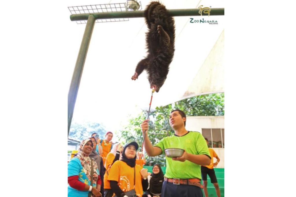 Top 8 Best Zoos and Wildlife Parks in Malaysia 2025 3 Zoo Negara Malaysia