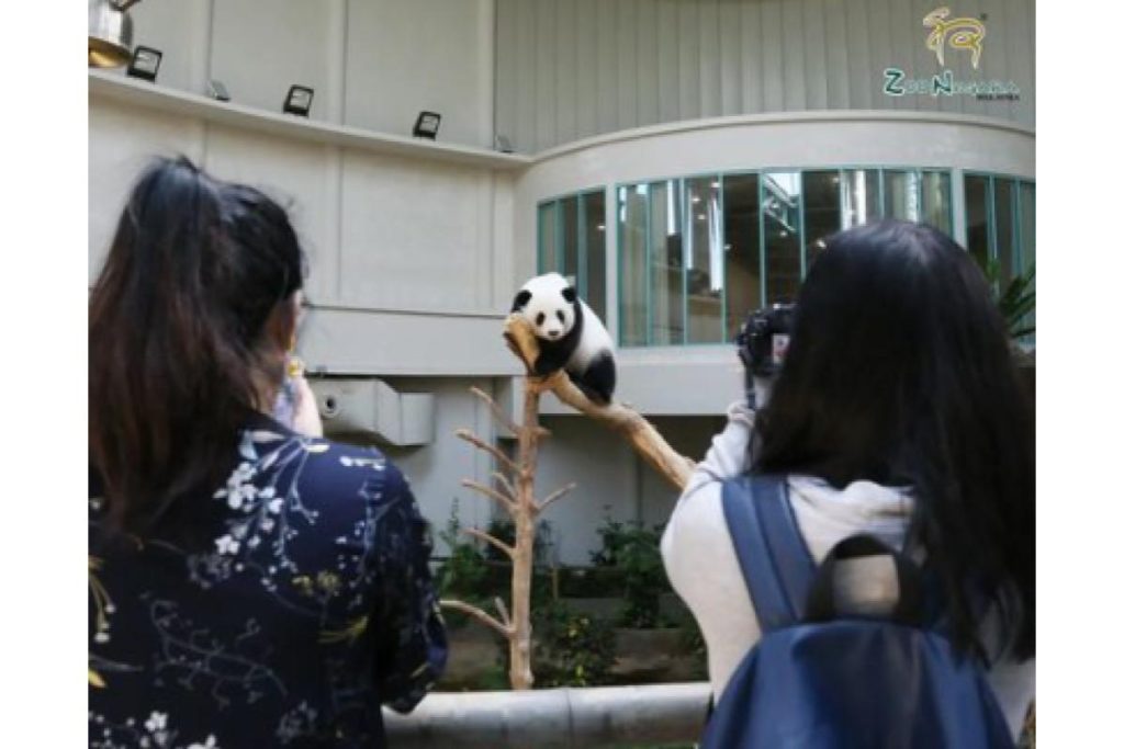 Top 8 Best Zoos and Wildlife Parks in Malaysia 2025 2 Zoo Negara Malaysia