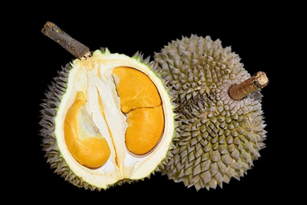 Top 8 Best Types of Durian In Malaysia 2025 7 Black Thorn Durian