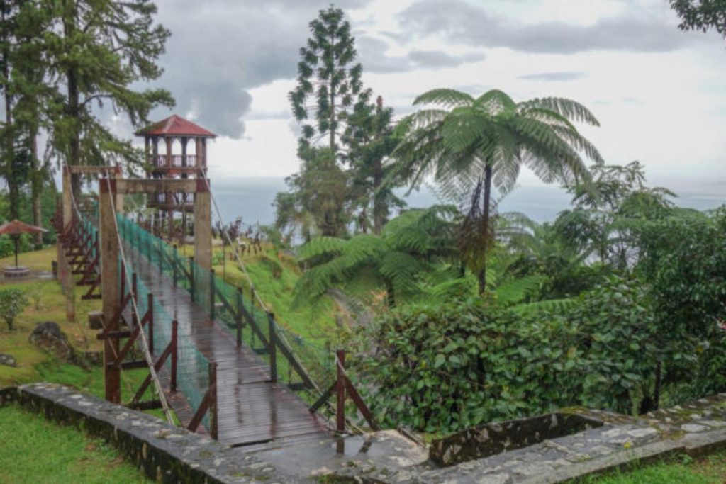 Top 8 Best Hiking Spots You Should Go in Malaysia 2025 8 Bukit Larut Maxwell Hill