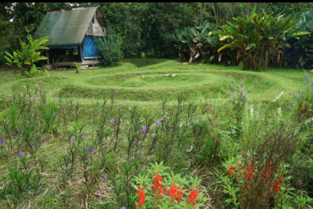 Top 8 Best Things To Do in Janda Baik 2025 9 Connect With Nature At The New Era Organic Farm