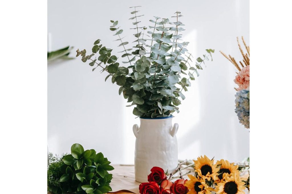 Top 8 Best Front Door Decor in Malaysia 2025 8 Eternal Eucalyptus Dried Leaves