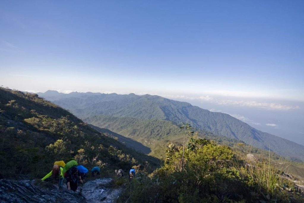 Top 8 Best Hiking Spots You Should Go in Malaysia 2025 10 Gunung Tahan Taman Negara National Park