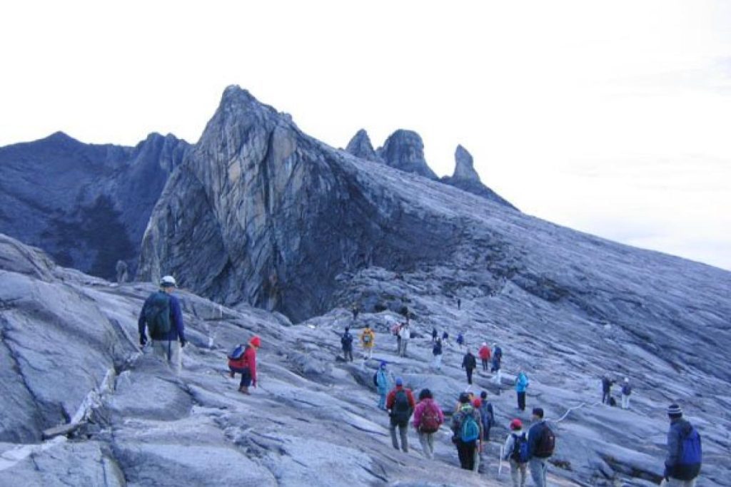 Top 8 Best Hiking Spots You Should Go in Malaysia 2025 11 Gunung Tahan Taman Negara National Park