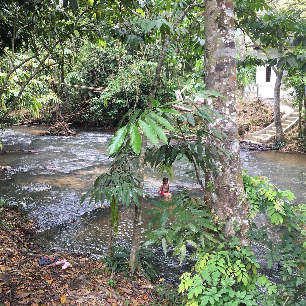 Top 8 Best Things To Do in Janda Baik 2025 7 Have A Picnic By The Riverside Janda Baik