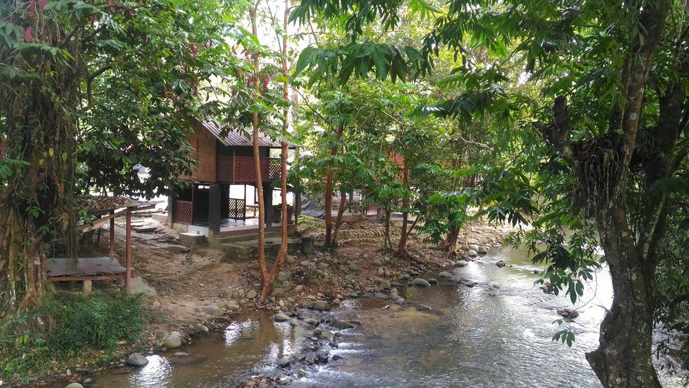 Top 8 Best Things To Do in Janda Baik 2025 6 Have A Picnic By The Riverside Janda Baik