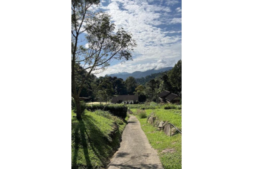Top 8 Best Things To Do in Janda Baik 2025 2 Have A Wholesome Lunch At A Little Farm on the Hill