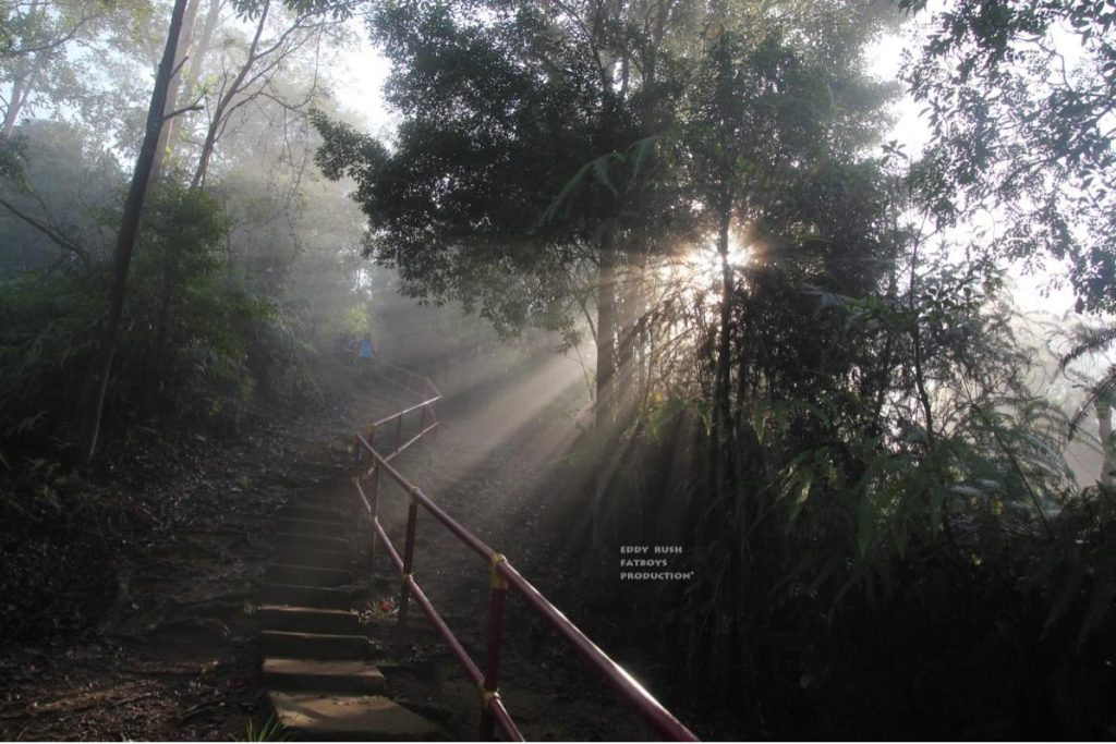 Top 8 Best Hiking Spots You Should Go in Malaysia 2025 17 Panorama Hill Pahang