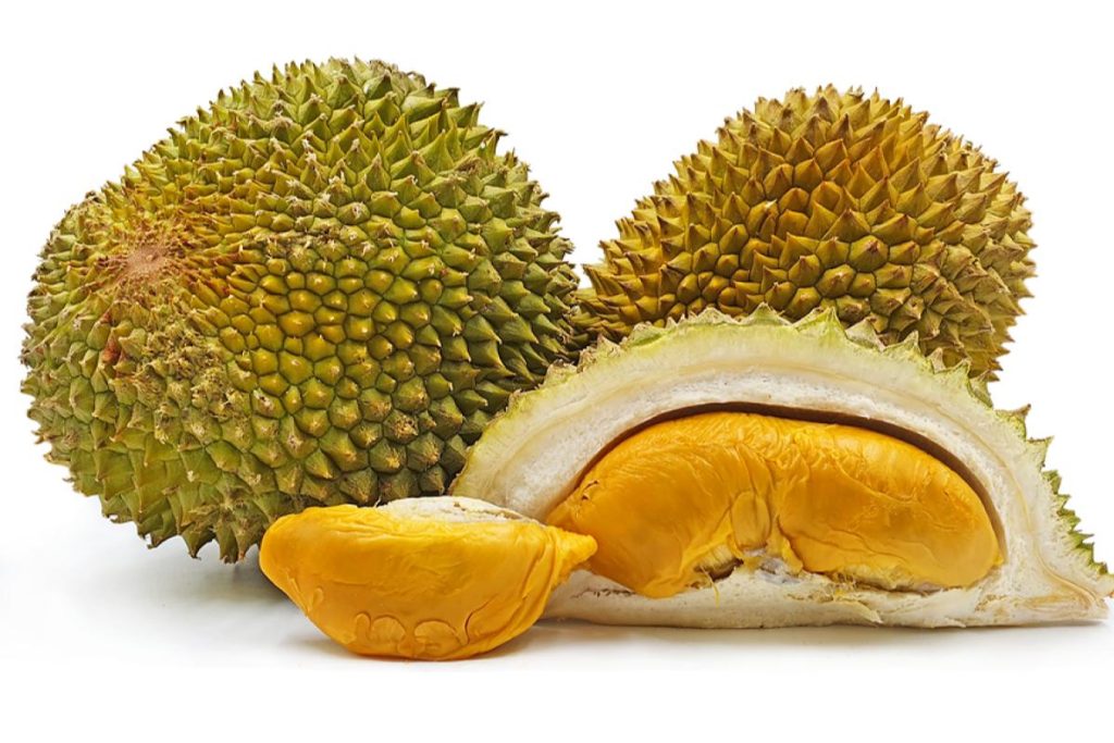 Top 8 Best Types of Durian In Malaysia 2025 4 Red Prawn Durian
