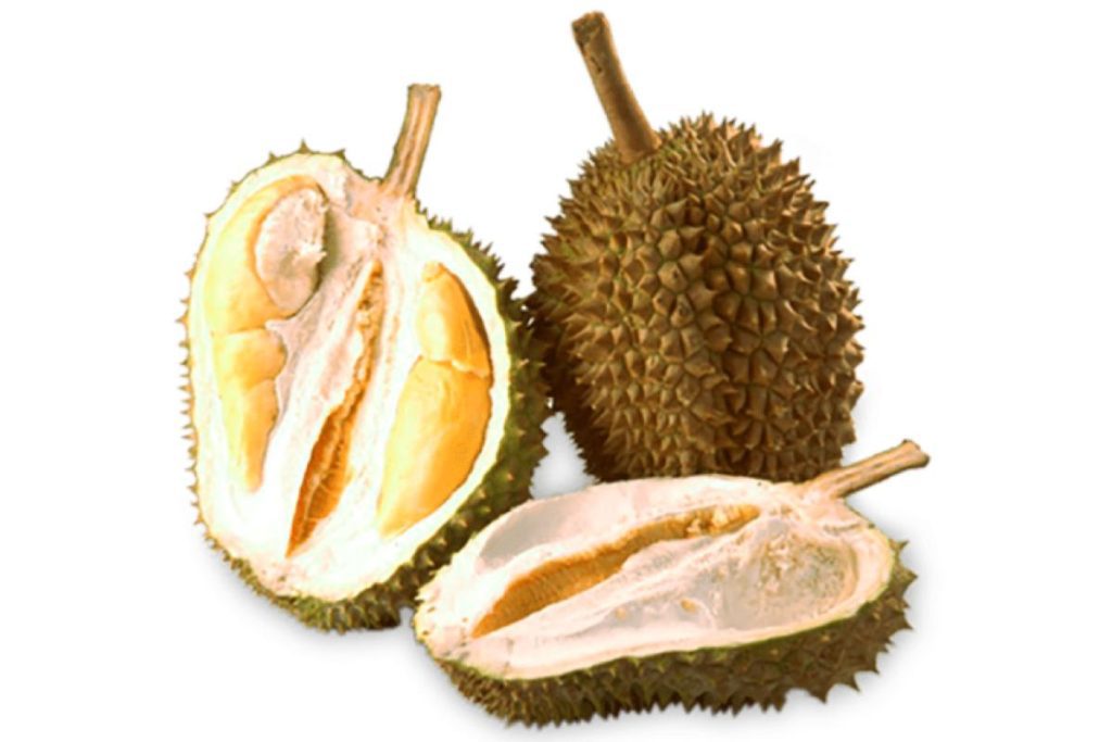 Top 8 Best Types of Durian In Malaysia 2025 6 Tekka Durian