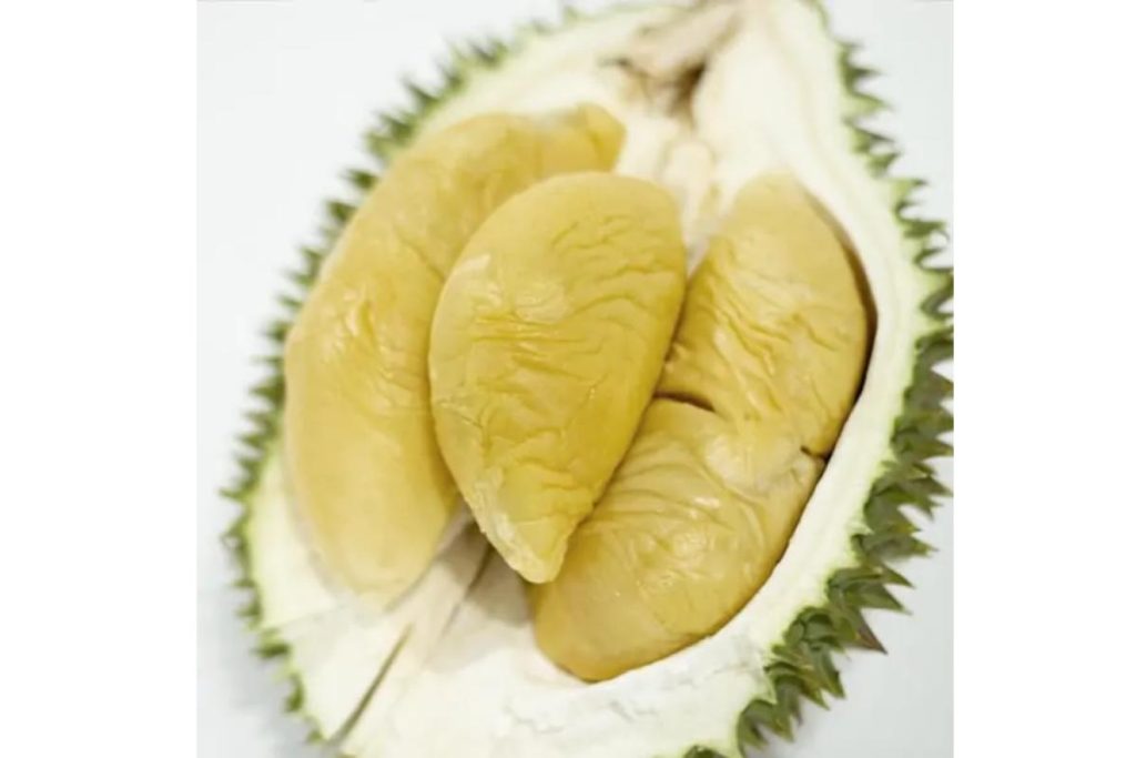 Top 8 Best Types of Durian In Malaysia 2025 5 XO Durian