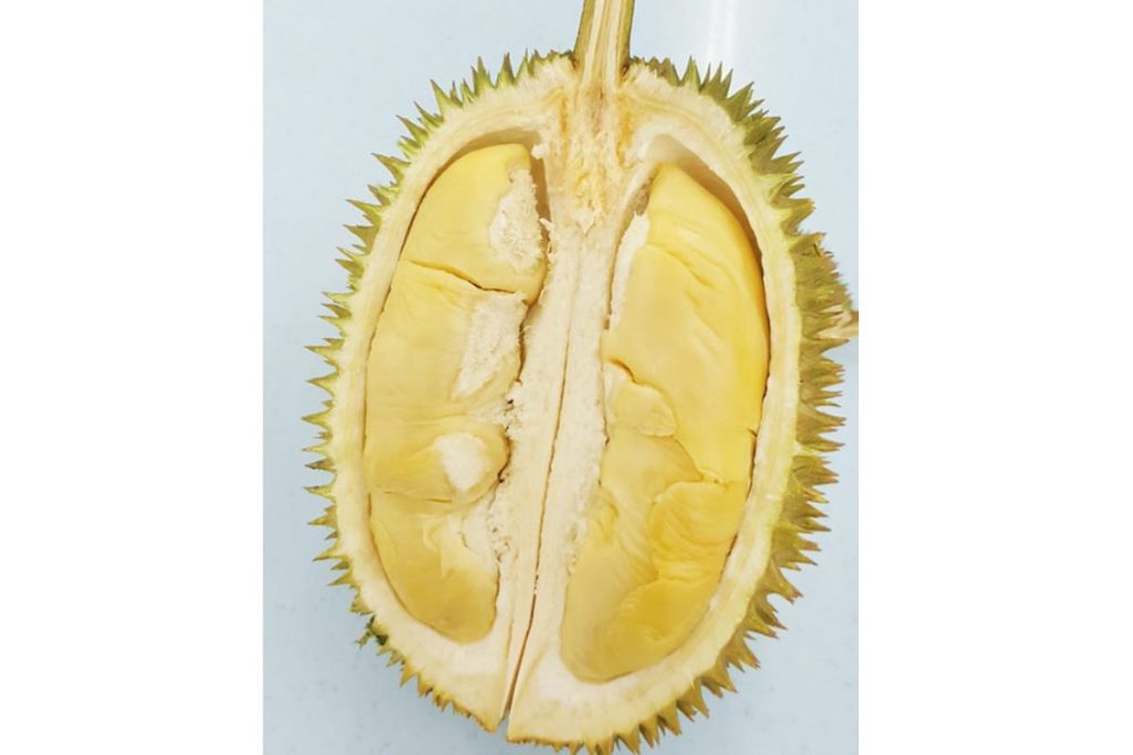 Top 8 Best Types of Durian In Malaysia 2025 9 hu