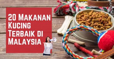 Makanan Kucing Terbaik di Malaysia