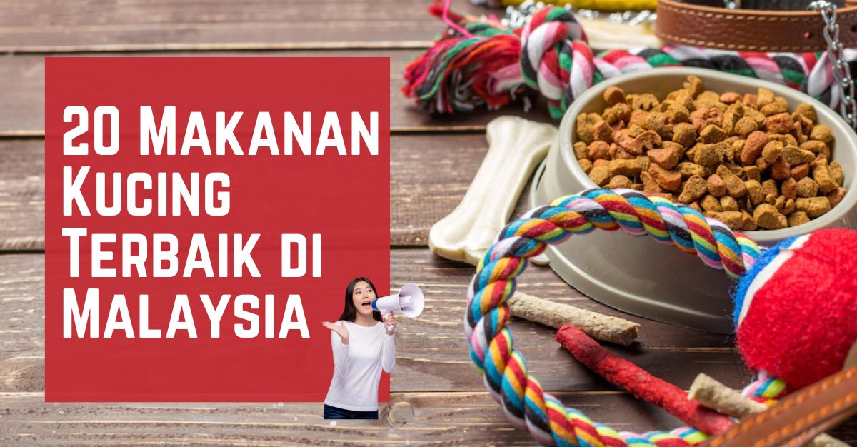 Makanan Kucing Terbaik di Malaysia