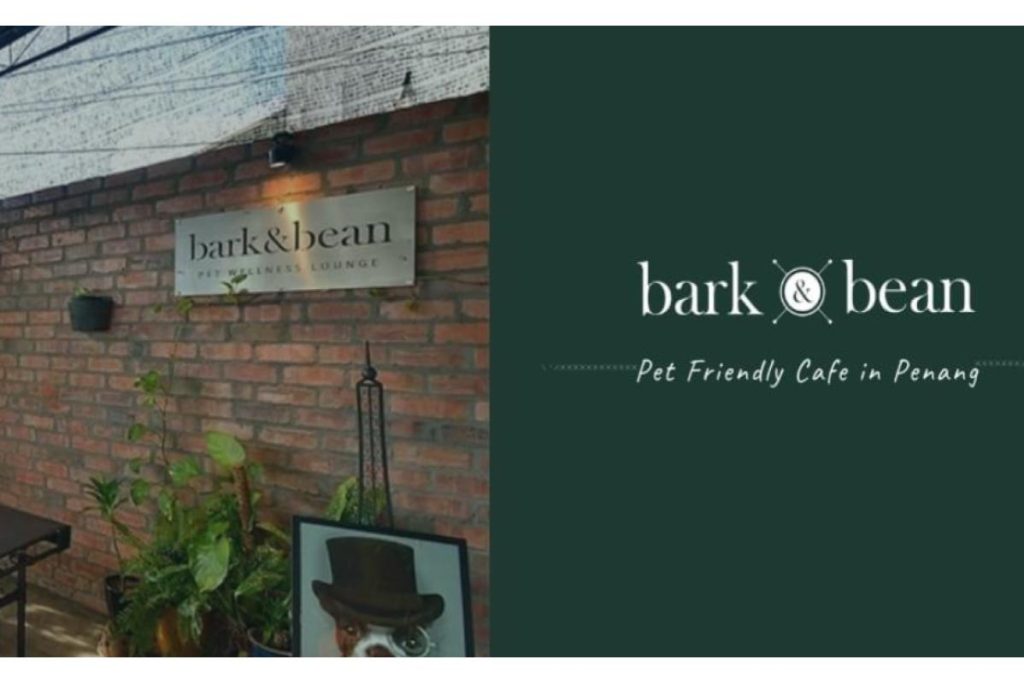 8 Pet Cafe Terbaik di Pulau Pinang 2025 4 Bark Bean Pet Cafe