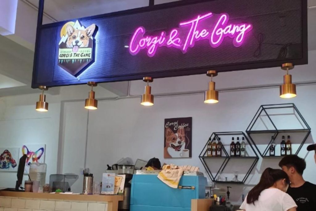 8 Pet Cafe Terbaik di Pulau Pinang 2025 16 Corgi The Gang Pet Cafe
