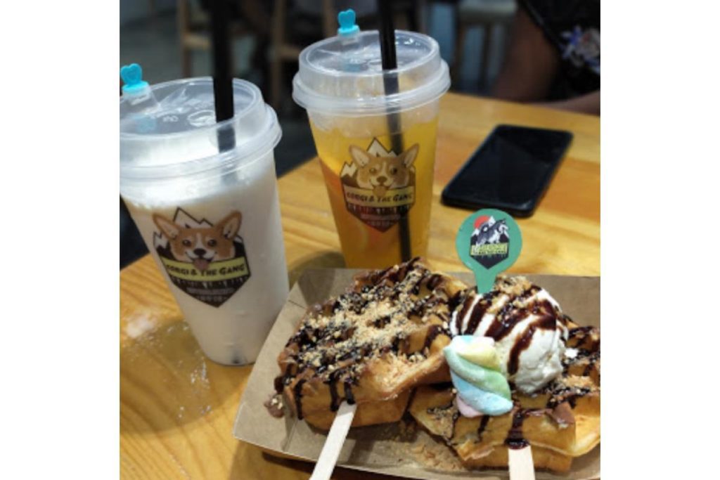 8 Pet Cafe Terbaik di Pulau Pinang 2025 17 Corgi The Gang Pet Cafe