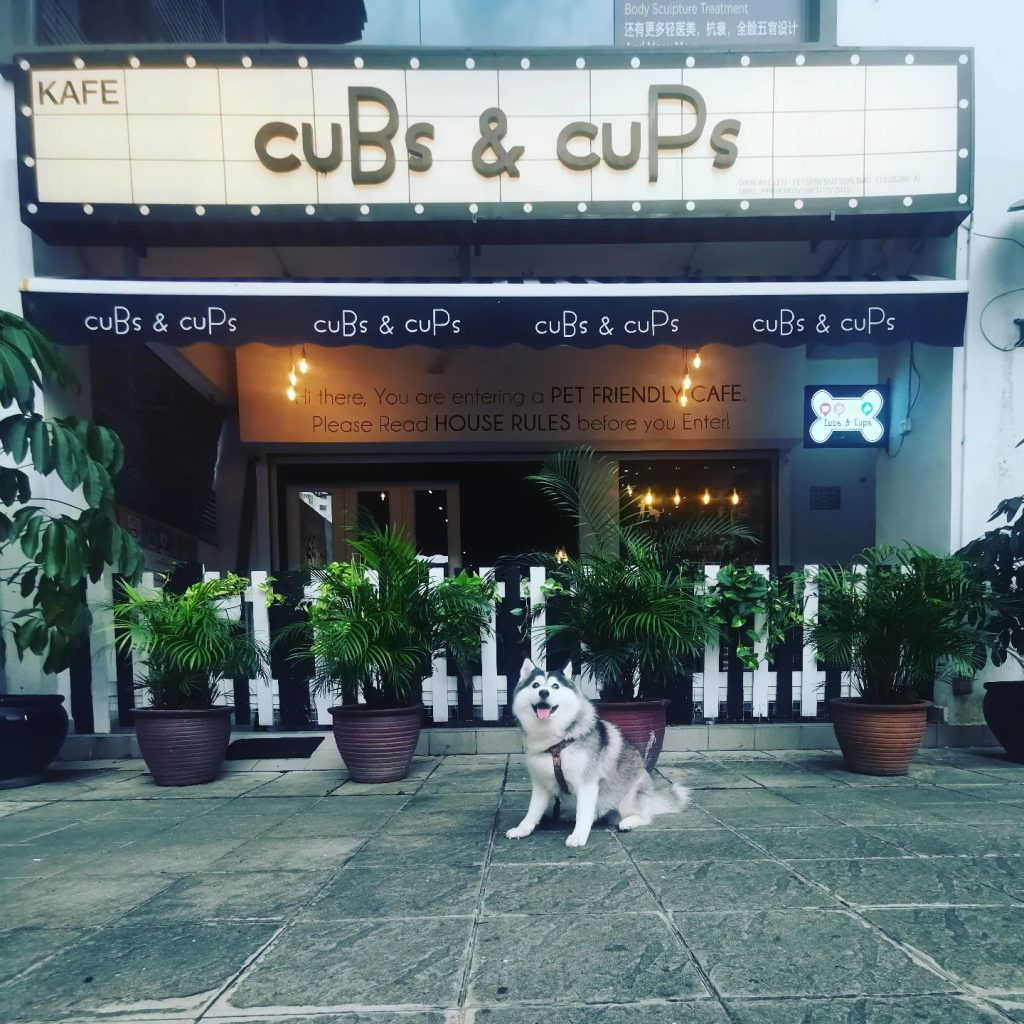 Top 10 Best Cafes in Mont Kiara & Sri Hartamas 2025 2 Cubs Cups