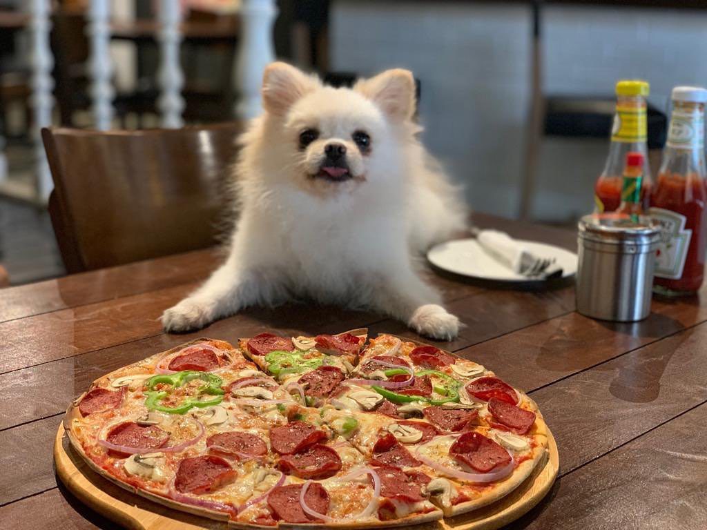 Top 10 Best Cafes in Mont Kiara & Sri Hartamas 2025 3 Cubs Cups