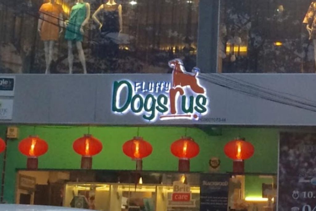 8 Pet Cafe Terbaik di Pulau Pinang 2025 10 Fluffy Dogs R Us