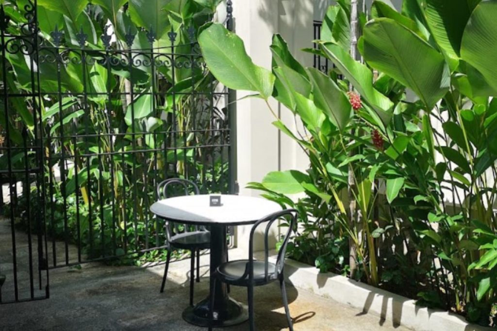 8 Pet Cafe Terbaik di Pulau Pinang 2025 14 Mews Cafe