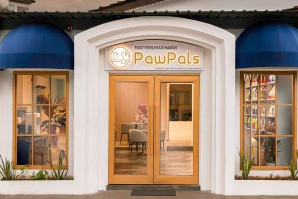 8 Pet Cafe Terbaik di Pulau Pinang 2025 2 PawPals
